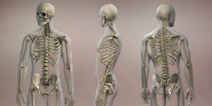 Jak zdiagnozować osteoporozę?