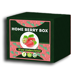 Home Berry Box zestaw do uprawy truskawek - aktualne recenzje użytkowników 2020 - jak używać, jak to działa, opinie, forum, cena, gdzie kupić, allegro - Polska