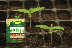 AgroMax nawóz organiczny, składniki, jak używać, jak to działa
