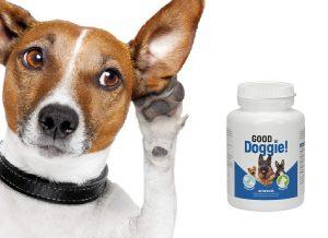 Good Doggie kapsułki, składniki, jak zażywać, jak to działa, skutki uboczne